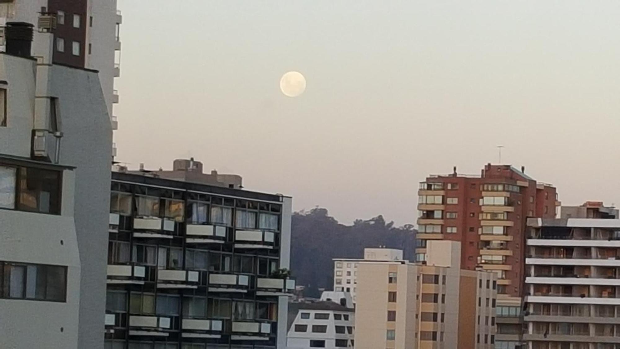 Edificio Maya Vina del Mar Cameră foto